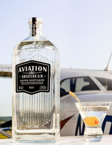 Gin Aviation