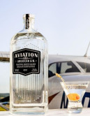 Gin Aviation