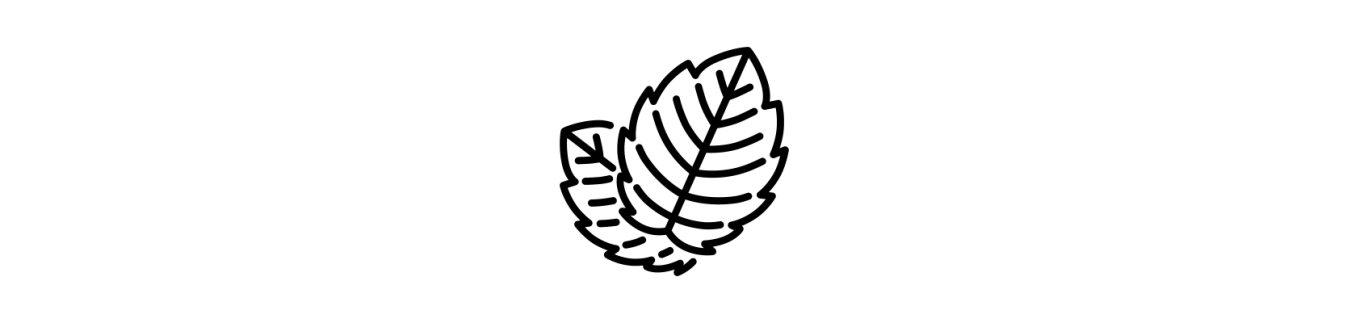 Liqueur de Plantes