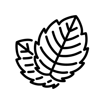 Liqueur de Plantes