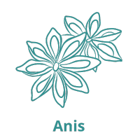 ANIS