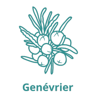 Genevrier.png