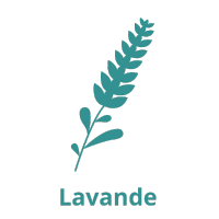 lanvande
