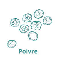 Gin Poivré