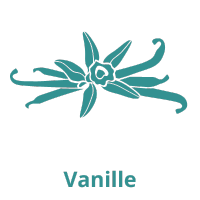 vanille (3).png